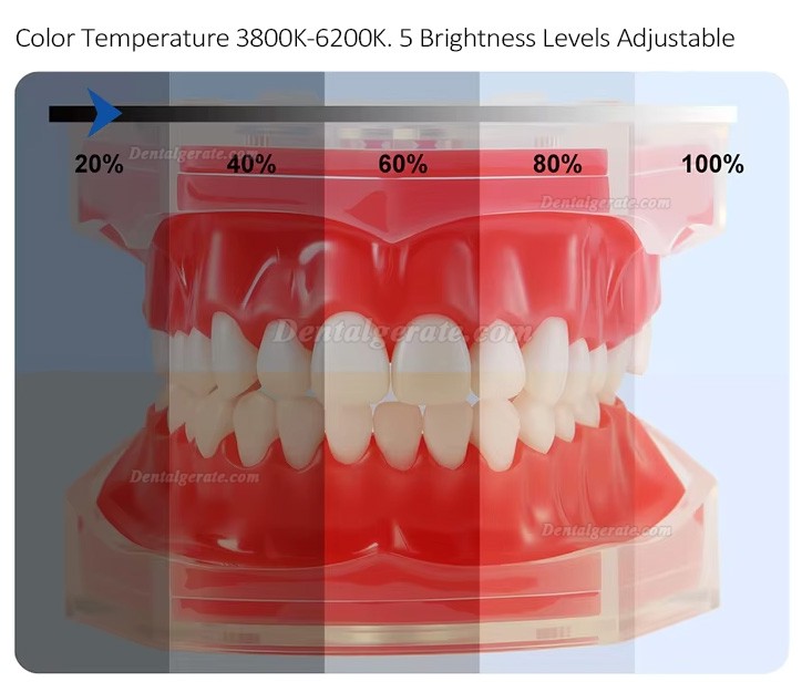 LED-Ringleuchten f&uuml;r Dentalfotografie mit 3 Farbtemperaturmodi